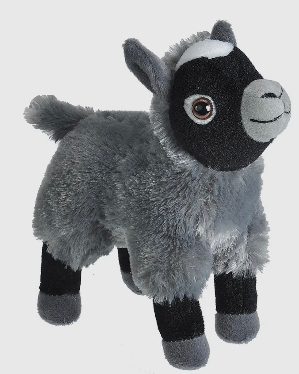 Snuggly Baby Goat