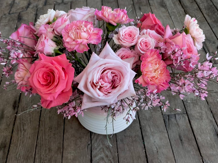 Garden roses