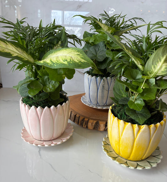 The Petal Pot