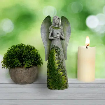 Fern Angel